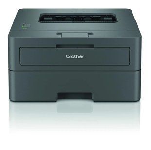 Принтер Brother HL-L2402D (HLL2402DYJ1) 037745 фото