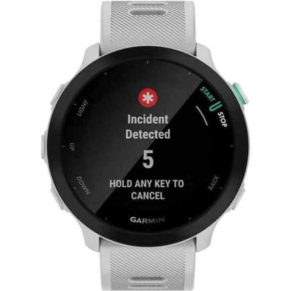 Спортивний годинник Garmin Forerunner 55 White (010-02562-11) 035235 фото