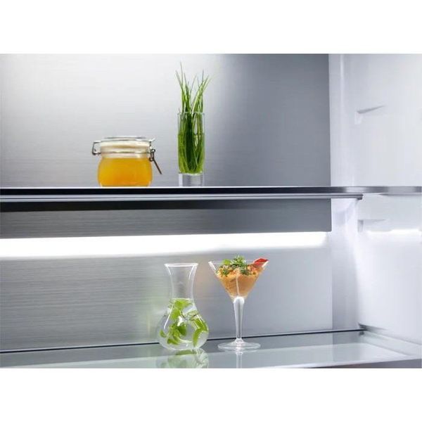 Холодильник с морозильной камерой Electrolux ELT9VE52M0 041085 фото