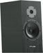Акустичні колонки Pylon Audio Diamond Monitor 18 Black 602062 фото 2