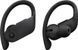 Навушники TWS Beats by Dr. Dre Powerbeats Pro Black (MV6Y2) 533187ua фото 2