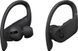 Навушники TWS Beats by Dr. Dre Powerbeats Pro Black (MV6Y2) 533187ua фото 3