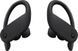 Навушники TWS Beats by Dr. Dre Powerbeats Pro Black (MV6Y2) 533187ua фото 1
