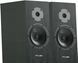 Акустичні колонки Pylon Audio Diamond Monitor 18 Black 602062 фото 3
