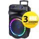 Power audio TREVI XF1560 Мікрофон для караоке 512281 фото 1