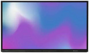 Информационный дисплей Promethean Activpanel LX 65 606026 фото