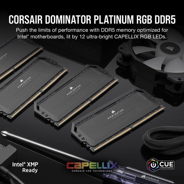 Память для настольных компьютеров Corsair 64 GB (2x32GB) DDR5 6000 MHz DOMINATOR PLATINUM RGB 027652 фото