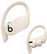 Навушники TWS Beats by Dr. Dre Powerbeats Pro Ivory (MV722) 533188ua фото 2