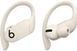 Навушники TWS Beats by Dr. Dre Powerbeats Pro Ivory (MV722) 533188ua фото 1