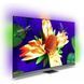 OLED телевизор Philips 65OLED907/12 002986 фото 2