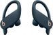Наушники TWS Beats by Dr. Dre Powerbeats Pro Navy (MV702) 533189ua фото 1