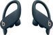 Наушники TWS Beats by Dr. Dre Powerbeats Pro Navy (MV702) 533189ua фото 2