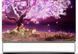 Телевізор LG OLED88Z1 533349ua фото 1