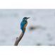 Довгофокусний об'єктив Sony SEL200600G 200-600 mm f/5.6-6.3 G OSS 014496 фото 7