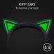 Наушники с микрофоном Razer Kraken Kitty V2 Black (RZ04-04730100-R3M1) 029800 фото 5